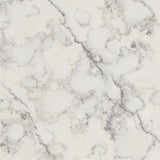 Technistone Romano Ricco <br>Grade : 1ere Qualite <br>Fini : Poli <br>Epaisseur : 1.25''<br>Dimensions : 126'' x 63''<br>Indice de prix : $$$ <br>