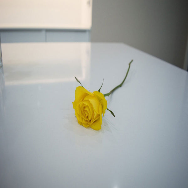 JUMBO Technistone Crystal Absolute White <br>Grade : 1ere Qualite <br>Fini : Poli <br>Epaisseur : 0.75''<br>Dimensions : 126'' x 61''<br>Indice de prix : $$$ <br>