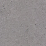 JUMBO  Quartz Technistone Noble Concrete Grey <br>Grade : 1ere Qualite <br>Fini : Poli <br>Epaisseur : 1.25''<br>Dimensions : 126'' x 61''<br>Indice de prix : $$$<br>